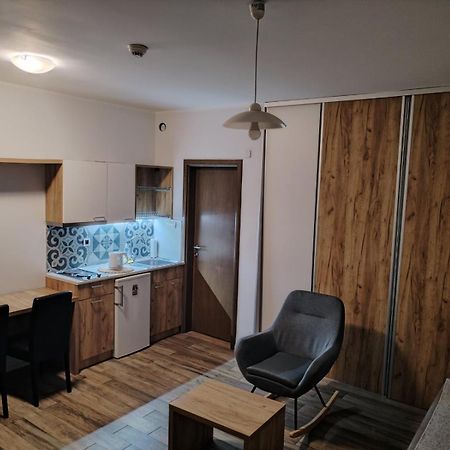 Centar Novi Sad-Apartman No 1 外观 照片