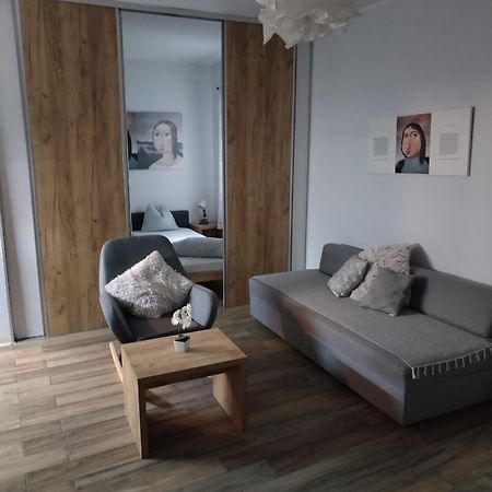 Centar Novi Sad-Apartman No 1 外观 照片