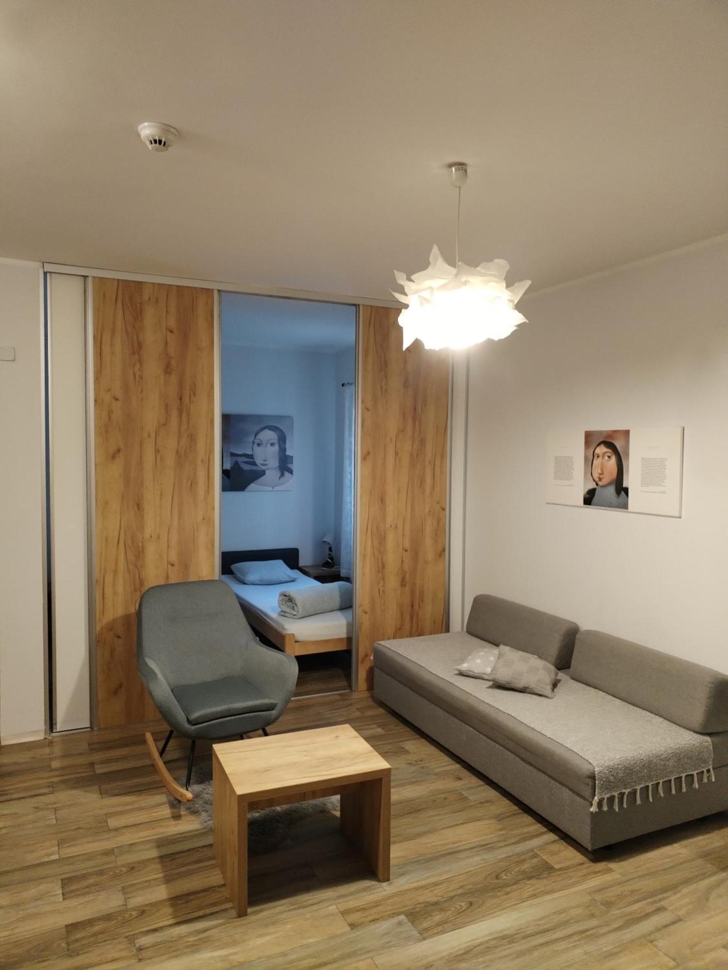 Centar Novi Sad-Apartman No 1 外观 照片