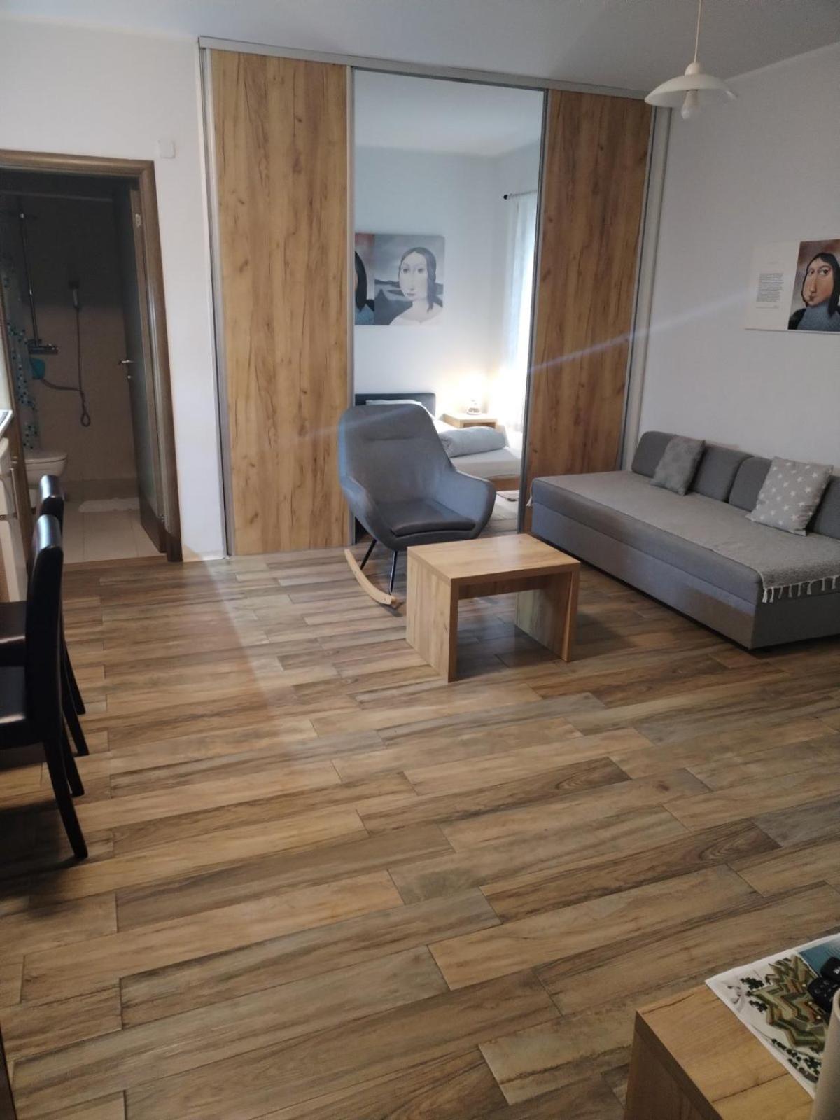 Centar Novi Sad-Apartman No 1 外观 照片